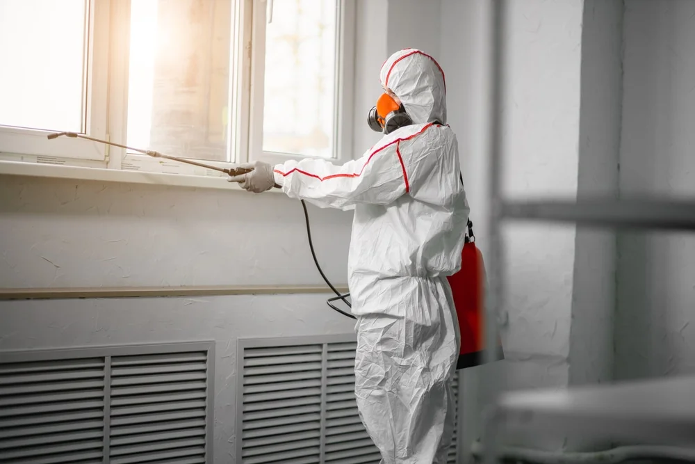 Professional mold remediation services in Brussels, WI